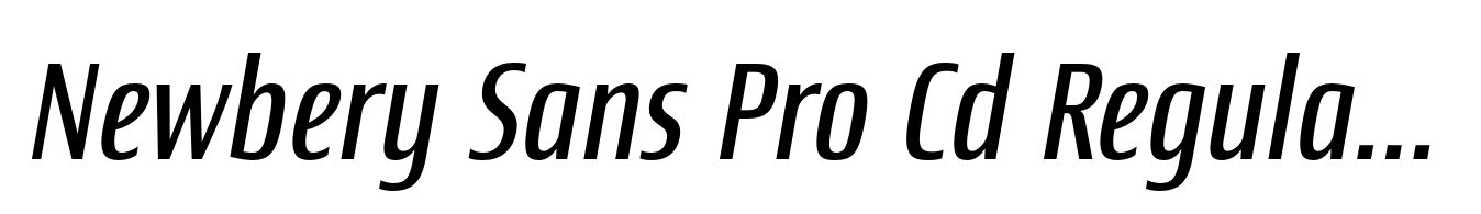 Newbery Sans Pro Cd Regular Italic